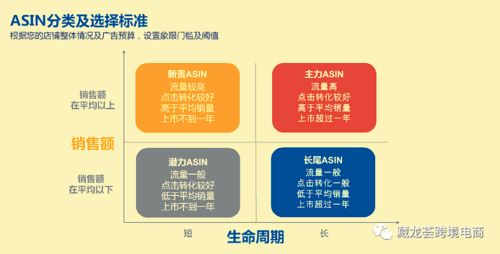亞馬遜賣家進(jìn)階指南 精通產(chǎn)品分類管理與工程管理服務(wù)